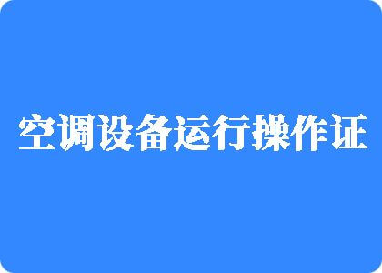 看中国男人的大鸡吧操朝鲜美女发浪逼视频制冷工证