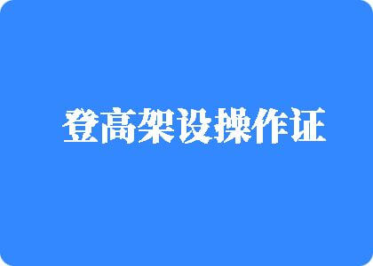 免费的日逼视频不用下载登高架设操作证